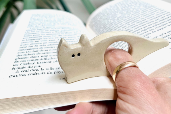 13/06 : Atelier Bagues de lecture