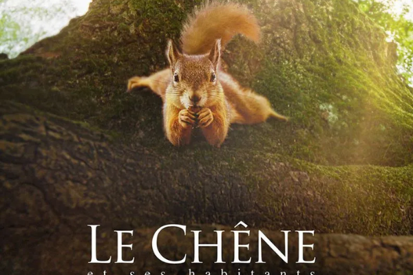 28/11 : Projection du film "Le chêne"
