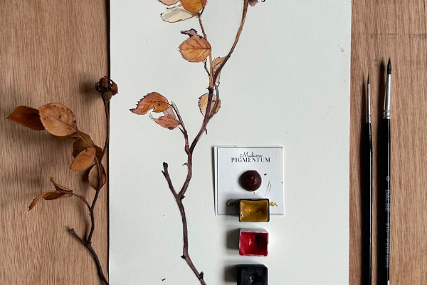 10/10 : Atelier d'aquarelle botanique